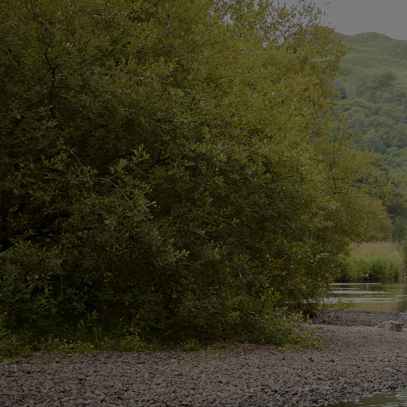 river crossing