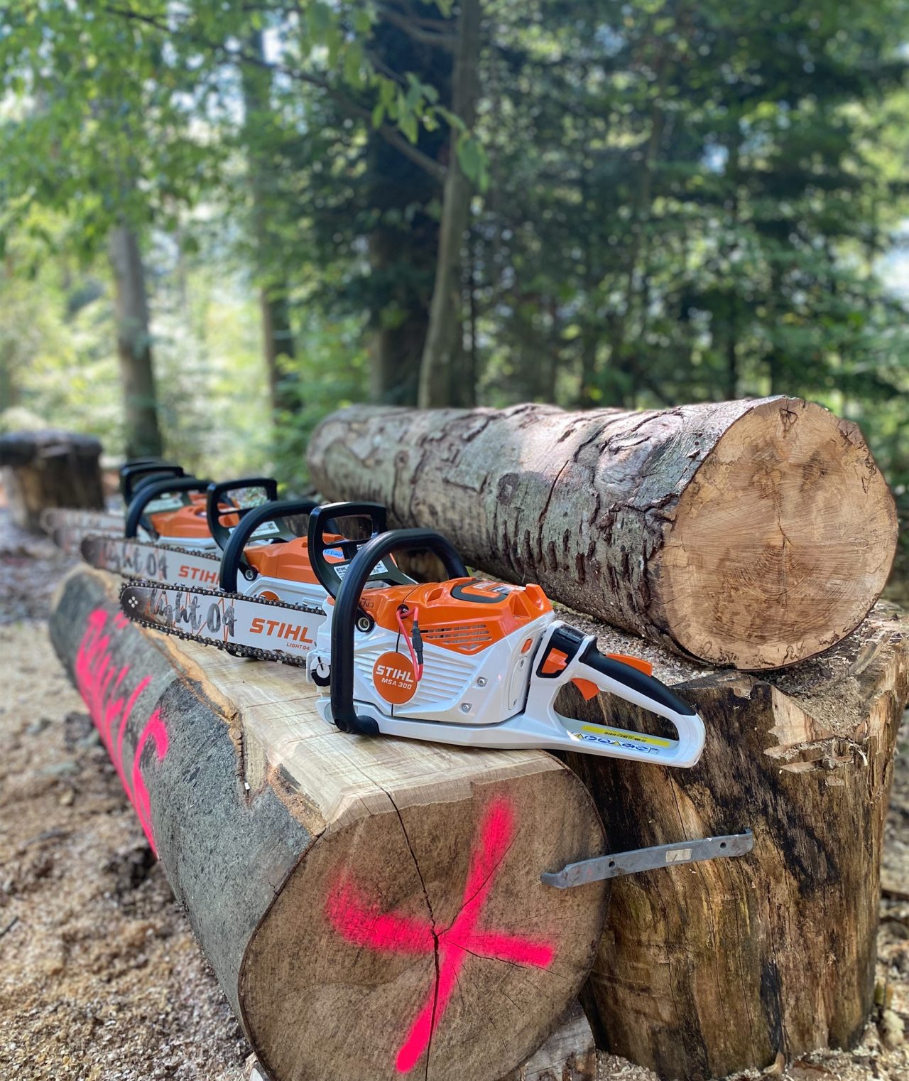 The cordless saws are subjected to a critical examination in the form of the application review.
